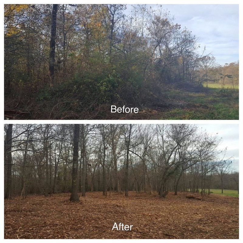 Land clearing before and after Northeast Indiana